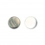 Nacre grise en perles rondes plates 8mm x 20 st