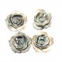 Gray mother-of-pearl rose 20mm x 1pc