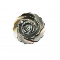 Graues Perlmutt halb durchbohrt in Form einer Rose 25mm x 1St