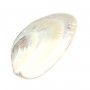 Coquillage avec perles incluses