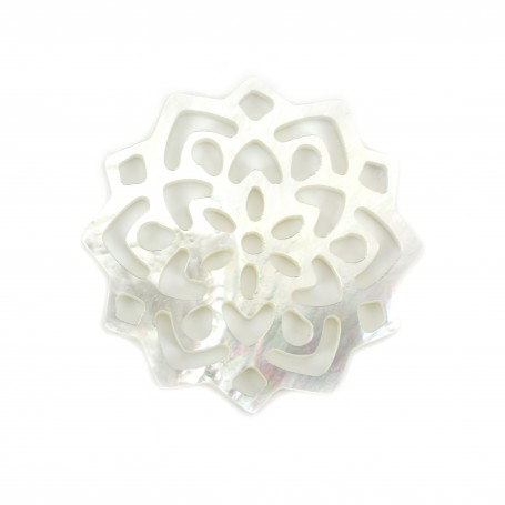 White Mother of Pearl Rosette 30mm x 1pc