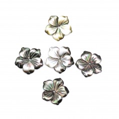Grey mother of pearl flower shape with 5 petals 15mm x 1pc