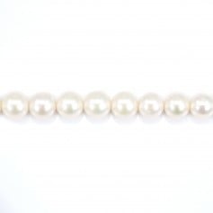 Perlas cultivadas de agua dulce, blancas, redondas, 7,5-8mm x 40cm A