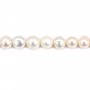 Freshwater cultured pearls, white, round, 11-13mm x 40cm