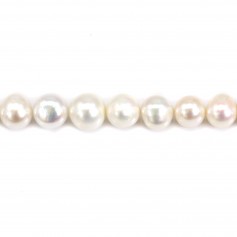 Perles de culture d'eau douce, blanche, ronde, 11-13mm x 40cm