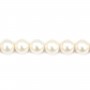 Perle coltivate d'acqua dolce, bianche, rotonde, 10-11 mm x 40 cm AAA