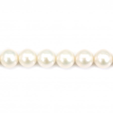 White round freshwater pearl round 10-11mm x 40cm