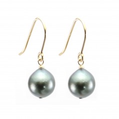 Tahitian cultured pearl earrings 8-9mm & Gold Filled x 2pcs