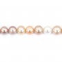 Perles de culture d'eau douce ,multicolore, ovale, 12-14mm x 39cm