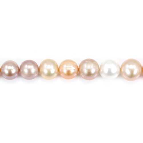Freshwater cultured pearls, multicolor, half-round, 12-14mm x 39cm