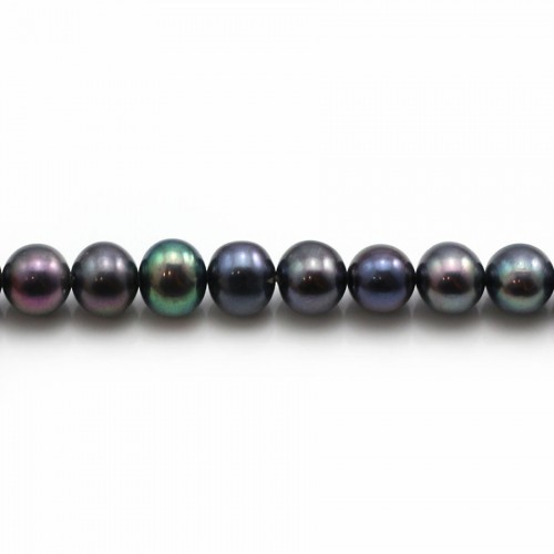 Perle coltivate d'acqua dolce, blu scuro, semitonde, 5-6 mm x 39 cm