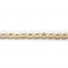 Freshwater cultured pearls, white, half-round, 5-5.5mm x 36cm
