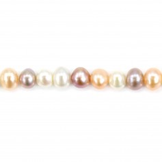 Perles de culture d'eau douce, multicolore, ovale, 5.5-6mm x 36cm