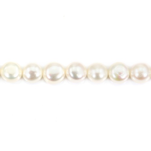 Perla coltivata d'acqua dolce, bianca, bottone 9-10 mm x 35 cm