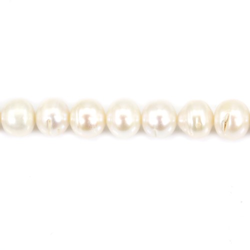 Perla coltivata d'acqua dolce, bianca, semicircolare/rotonda, 9-10 mm x 40 cm