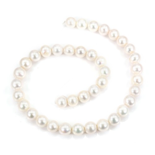 Freshwater cultured pearl, white, round, gradient size 10-11mm x 40cm