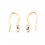 Hook earrings by "flash" Gold on brass 9x17mm x 2pcs
