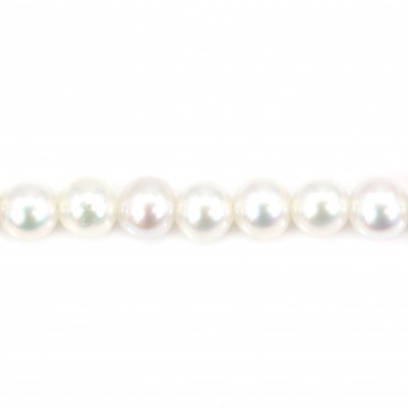 Perla coltivata d'acqua dolce, bianca, rotonda, 3 mm x 39 cm