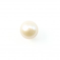 Freshwater cultured pearl, half-perforated, white, round, 5-5.5mm x 1pc