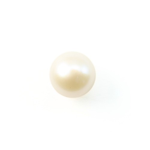 Perles de culture d'eau douce, semi-percée, blanche, semi-ronde, 5.5-6mm x 1pc