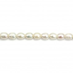 Freshwater cultured pearls, white, olive, 5.5-6.5mm x 38cm