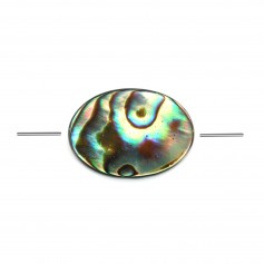 Nacre Abalone ovale 8x10mm x 2pcs