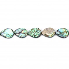 Mother-of-pearl abalone flat drop 12x16mm x 1pc