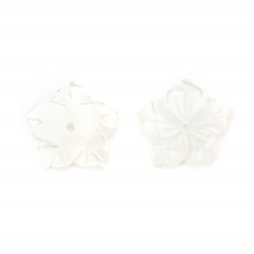 Natural white Shell 15mm the Flower with 5 Leaves x 1pc 