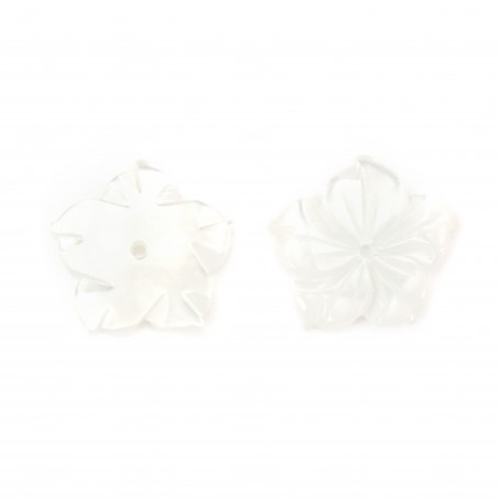 Natural white Shell 15mm the Flower with 5 Leaves x 1pc 