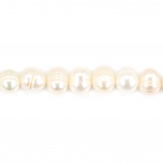 Perles de culture d'eau douce, blanche, ovale/irrégulière, 7mm x 10pcs