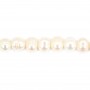 White freshwater pearls on thread 6-7mm x 36cm
