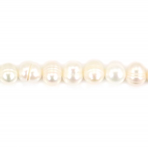 Perlas cultivadas de agua dulce, blancas, ovaladas, 6,5-7mm x 37cm