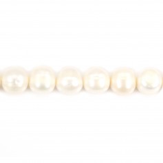 Perle coltivate d'acqua dolce, bianche, ovali, 10-11 mm x 40 cm