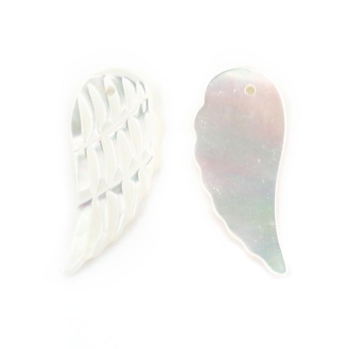 White mother-of-pearl wing 10x22mm x 1pc