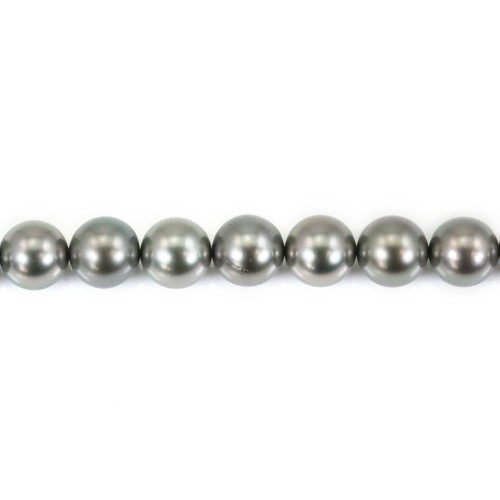 Perles de tahiti gris claire rond 8.5-9.4mm x 40cm