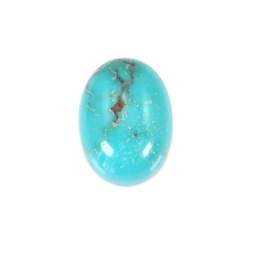 Cabochon de turquoise de forme ovale, 13x18mm x 1pc