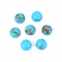 Cabochon turquoise round 6mm x 1pc