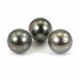 Tahitian cultured pearl, round, 12.5-13mm, quality A x 1pc
