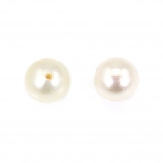 Perle de culture d'eau douce, semi-percée, blanche, ronde, 6.5-7mm x 1pc