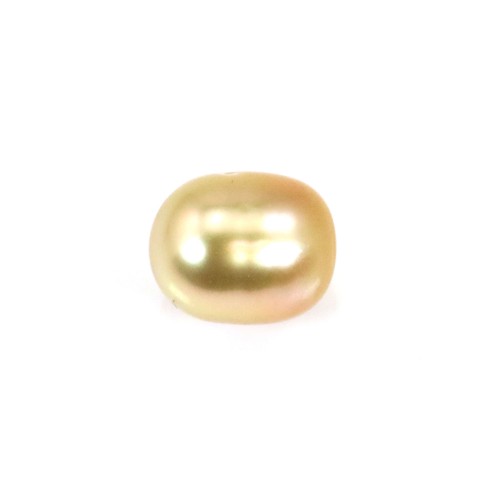 Südseeperle, gold, oliv, 10-10.5mm x 1Stk