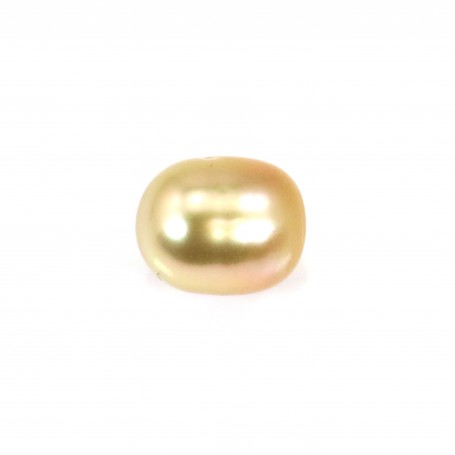 Perle des mers du Sud, dorée, olive, 10-10.5mm x 1pc