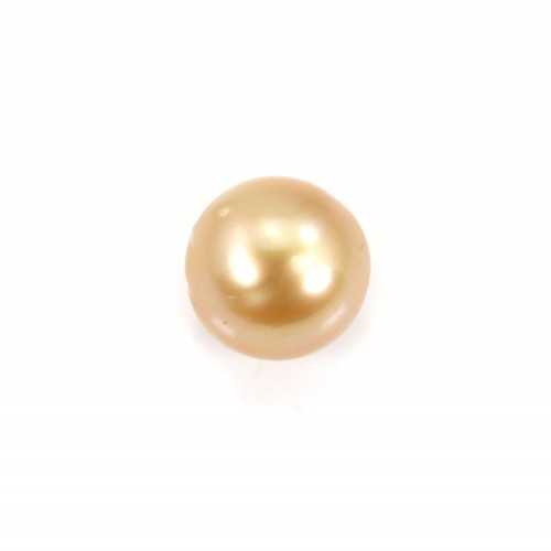 Perla dei Mari del Sud, oro, rotonda, 10-10,5 mm x 1 pz
