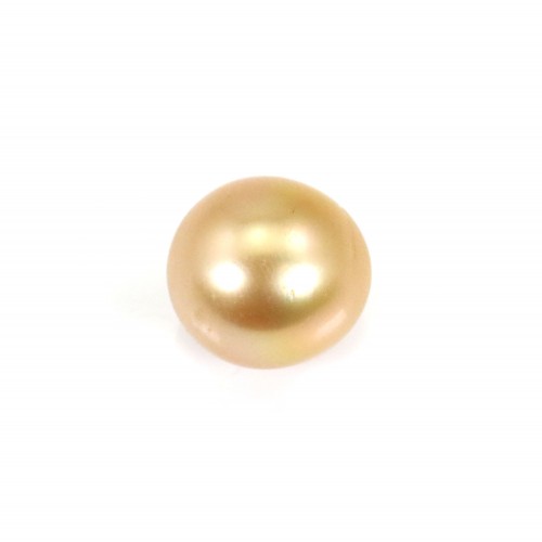 Pérola do Mar do Sul, dourada, semi-redonda, 11-11.5mm x 1pc