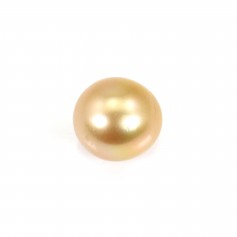 Perle des mers du Sud, dorée, semi-ronde, 11-11.5mm x 1pc