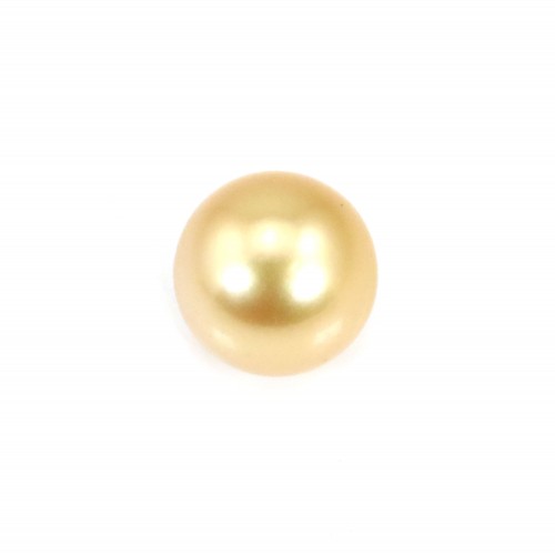 Pérola do Mar do Sul, dourada, semi-redonda, 11.5-12mm x 1pc