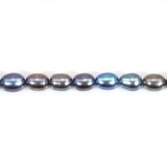 Freshwater cultured pearls, dark blue, olive, 5.5-6mm x 4pcs
