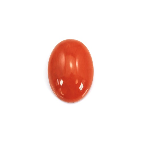 Cabochon Natural Red Coral Oval 10x14mm x 1pc