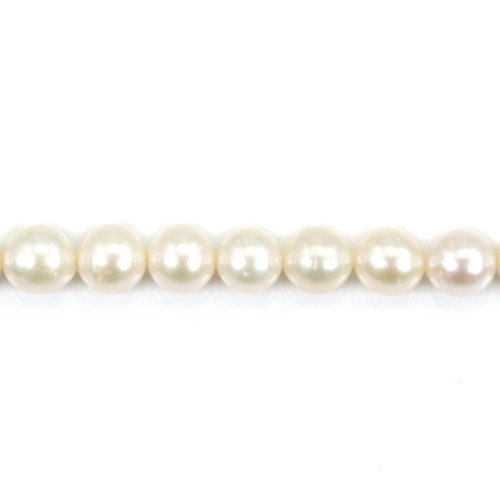 Perlas cultivadas de agua dulce, blancas, redondas, 6,5mm AK x 36cm