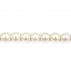 Freshwater cultured pearls, white, half-round, 6.5mm x 4pcs