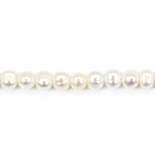 White freshwater cultured pearl, in shaped of a oval 3.5 * 5mm x 39cm